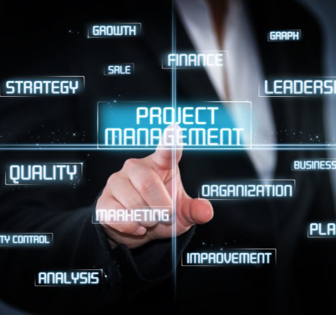 IT Project Management