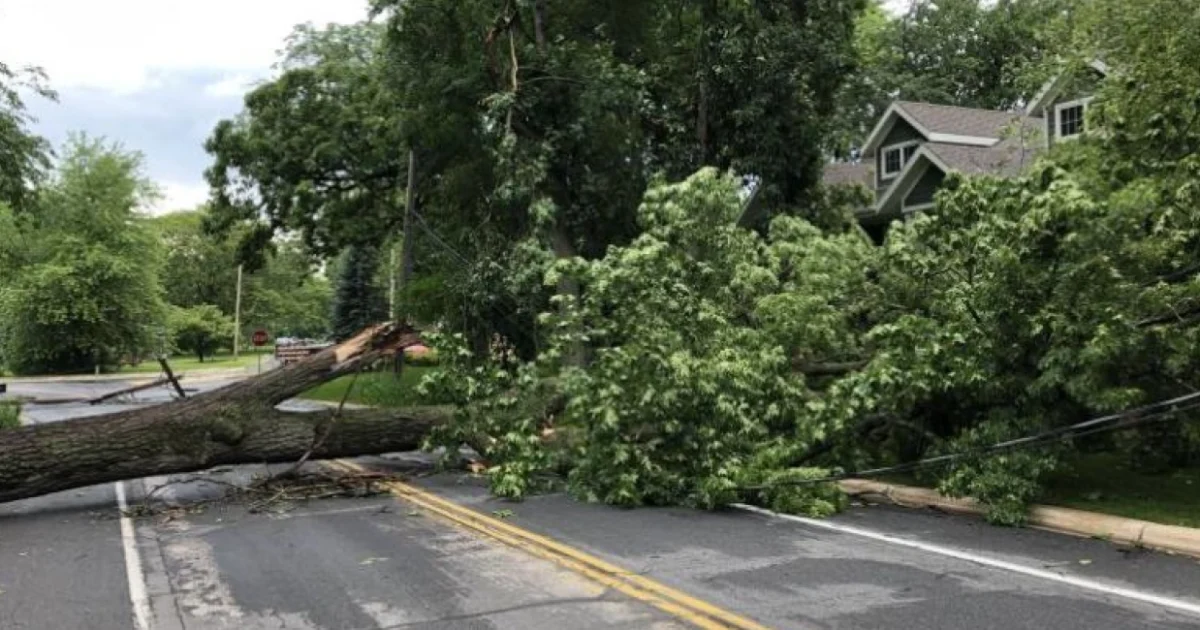 Power Outages & Backup Plans