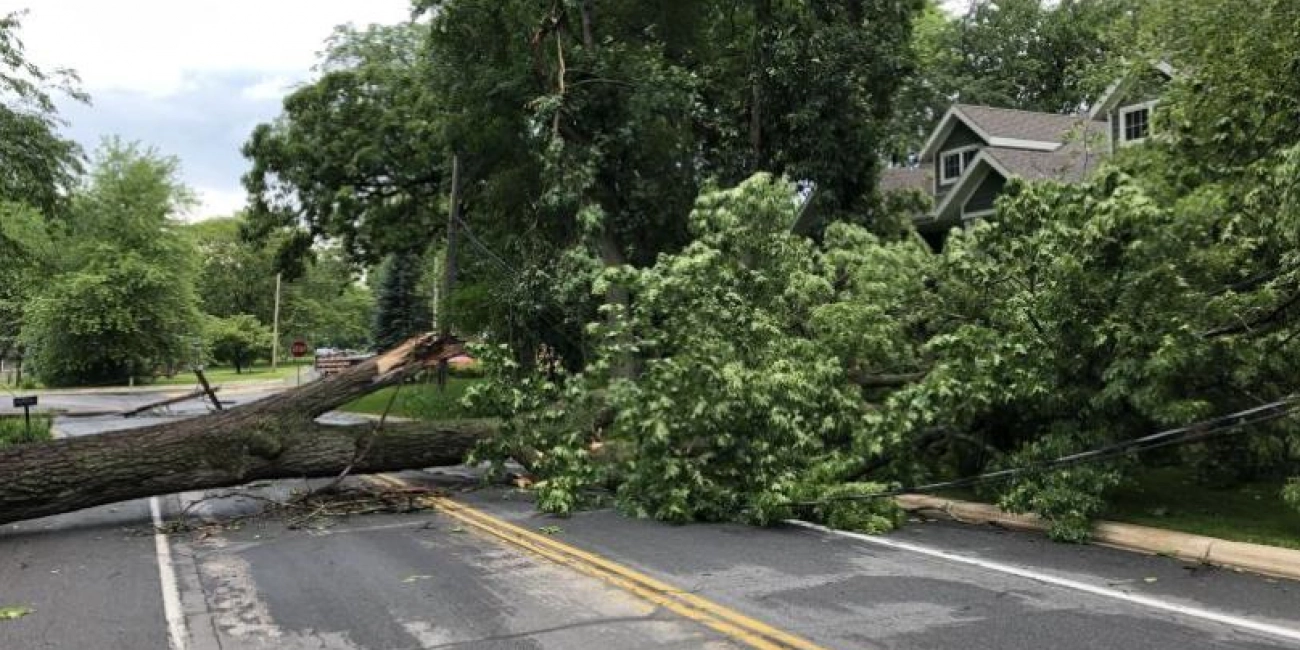 Power Outages & Backup Plans